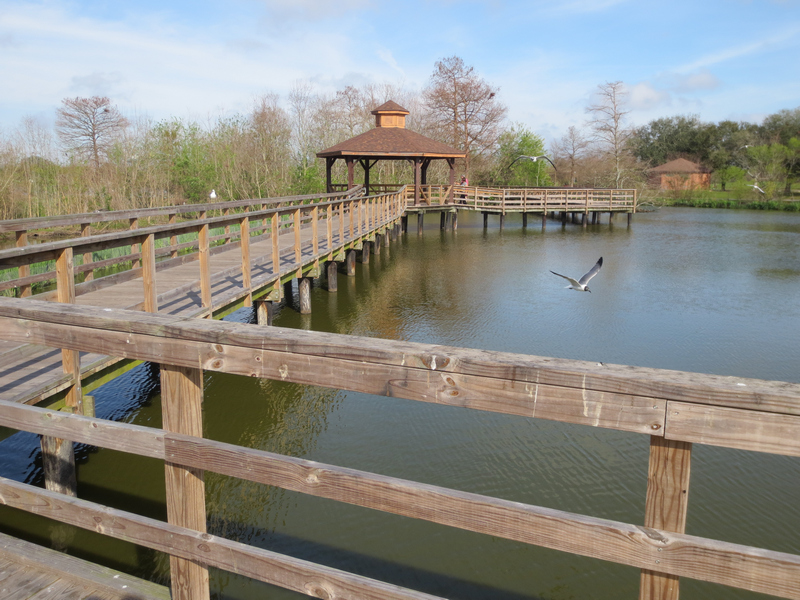 American Softwoods Latam