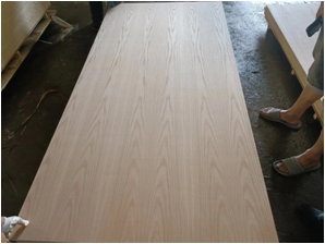 SHANDONG NYUTU NEW MATERIAL CO.,LTD