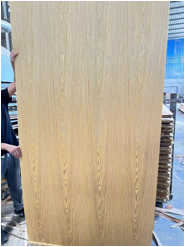 SHANDONG NYUTU NEW MATERIAL CO.,LTD