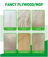 Shandong Yotop International Trade Co., Ltd