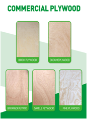 Shandong Yotop International Trade Co., Ltd