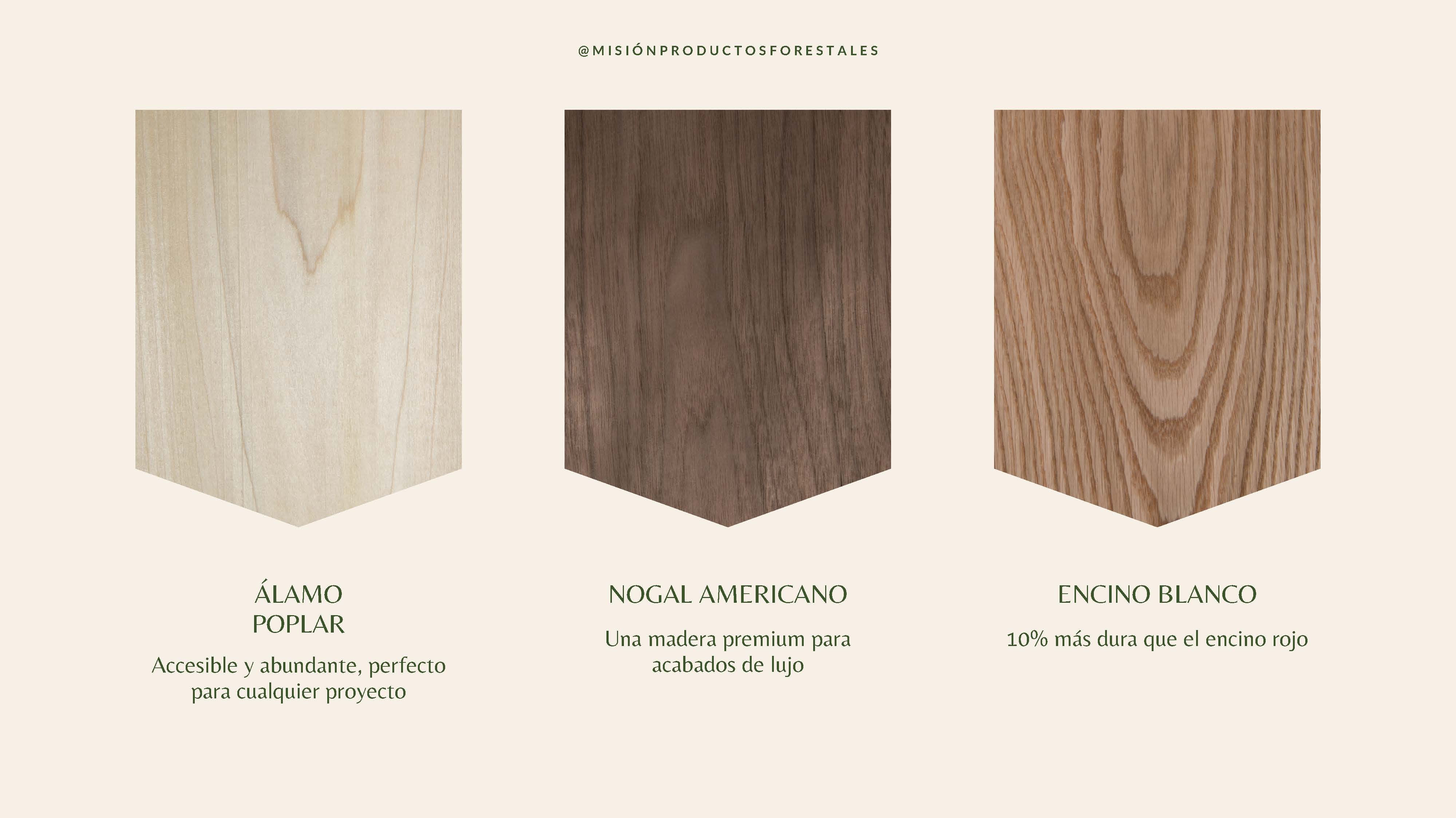 PRODUCTOS FORESTALES LA MISIÓN